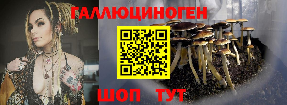 Псилоцибиновые грибы Magic Shrooms  Галлюциногенные грибы мухоморы  Екатеринбург 