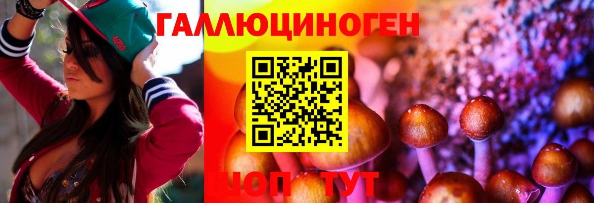 Псилоцибиновые грибы мухоморы Екатеринбург